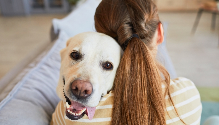 Clear signs that your dog trusts you