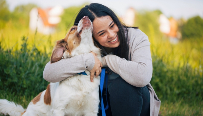 Make your dog feel like a member of the family