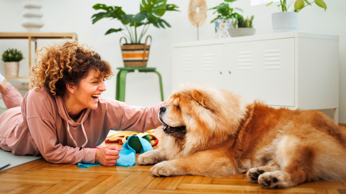 Things Your Dogs Do for You Without You Knowing