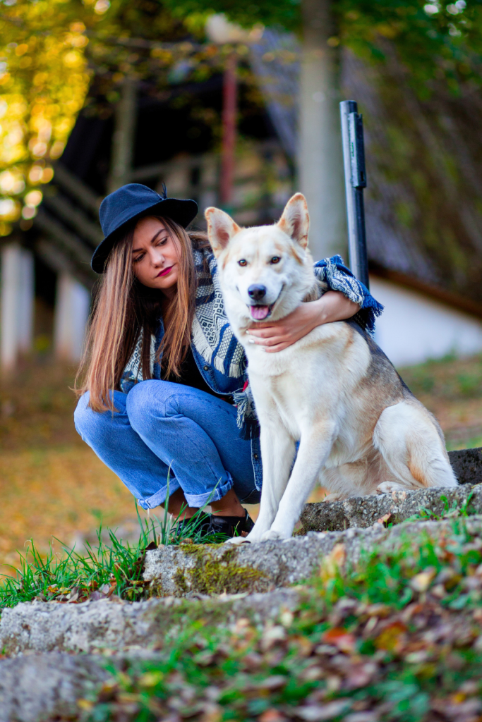 Top Things Dogs Do for Us