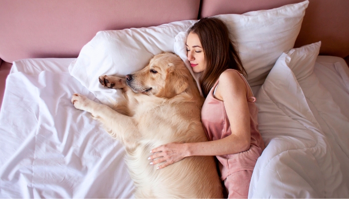 Why Do Dogs Like to Sleep With You