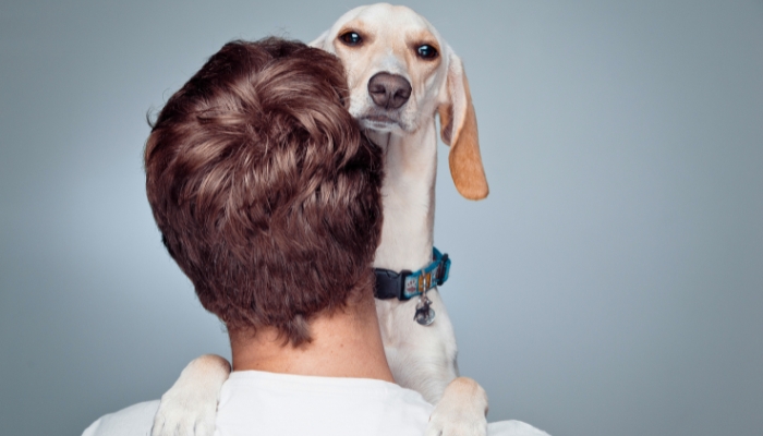 Your dog looks for you in uncomfortable situations