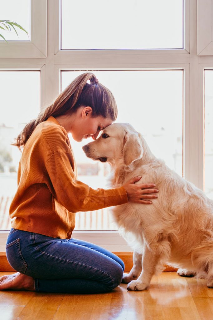 Everyday Things That Hurt Your Dog’s Feelings