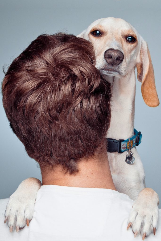 How Long Do Dogs Remember Bad Experiences