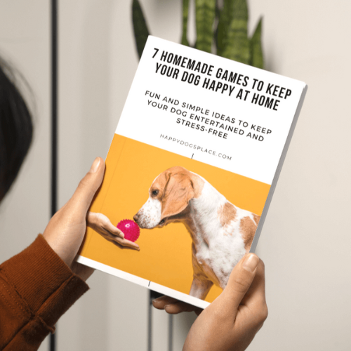 Newsletter guide 500x500