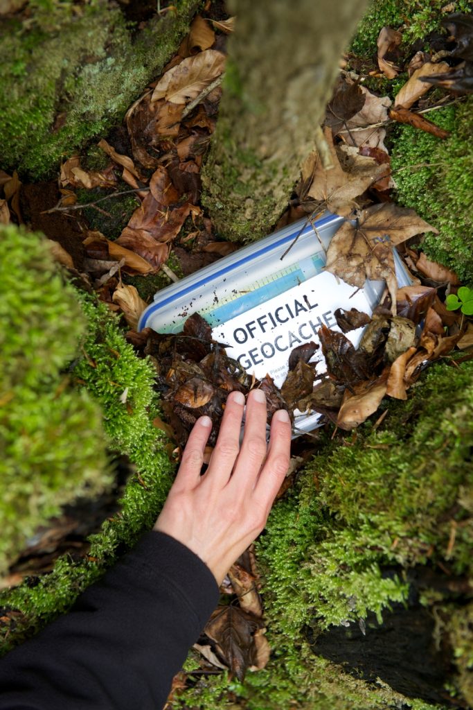 25 Genius Ideas to Keep Your Dog Happy and Active Outdoors