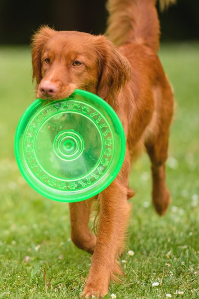 25 Outdoor Activities to Keep Them Happy and Healthy