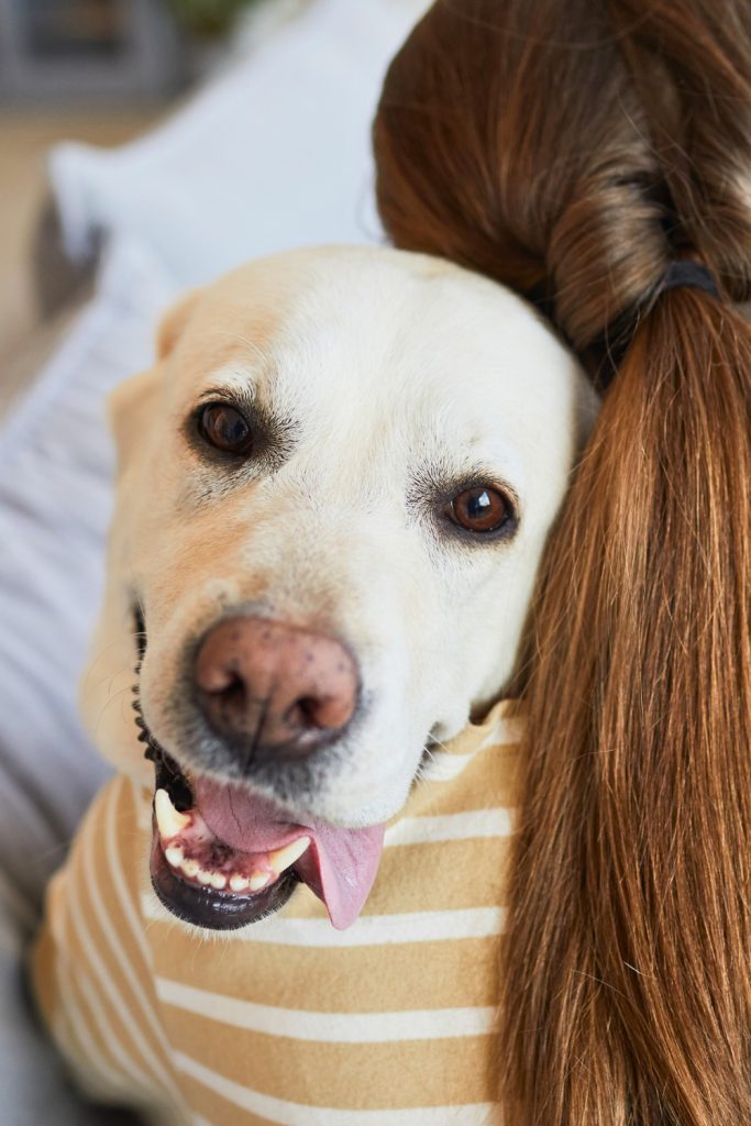 30 Secrets Your Dog Wishes You Knew