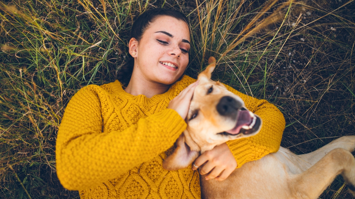 8 Reasons Why Dogs Choose Their Favorite Person