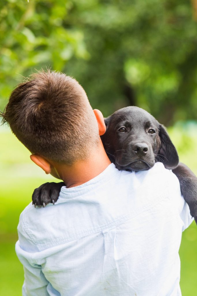 8 Reasons Why Dogs Pick Their Favorite Person