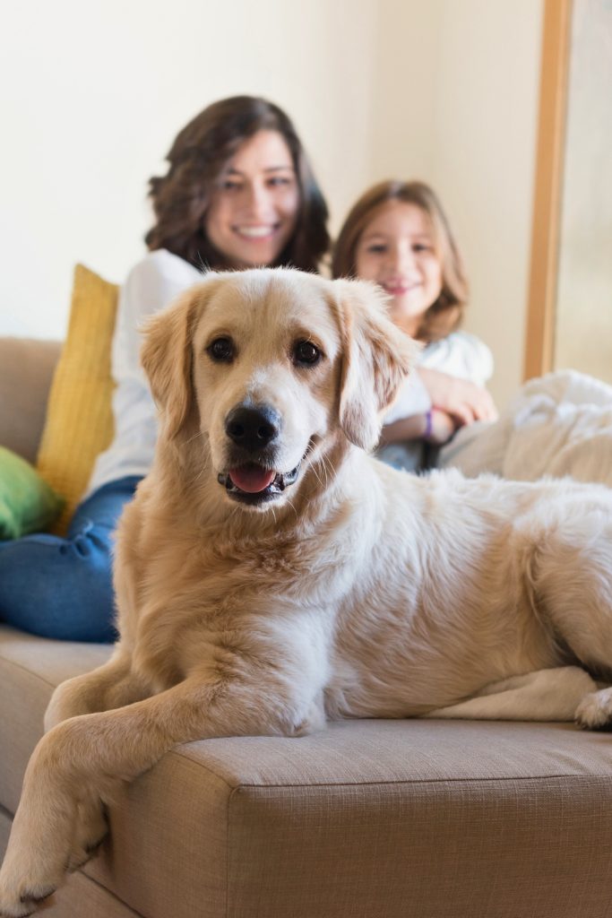 Amazing Things Only Female Dogs Do
