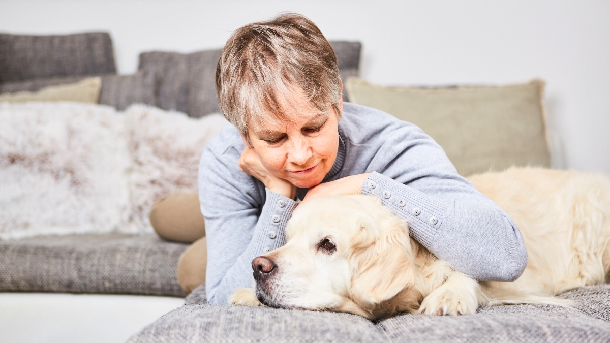 Is Your Dog Lonely?