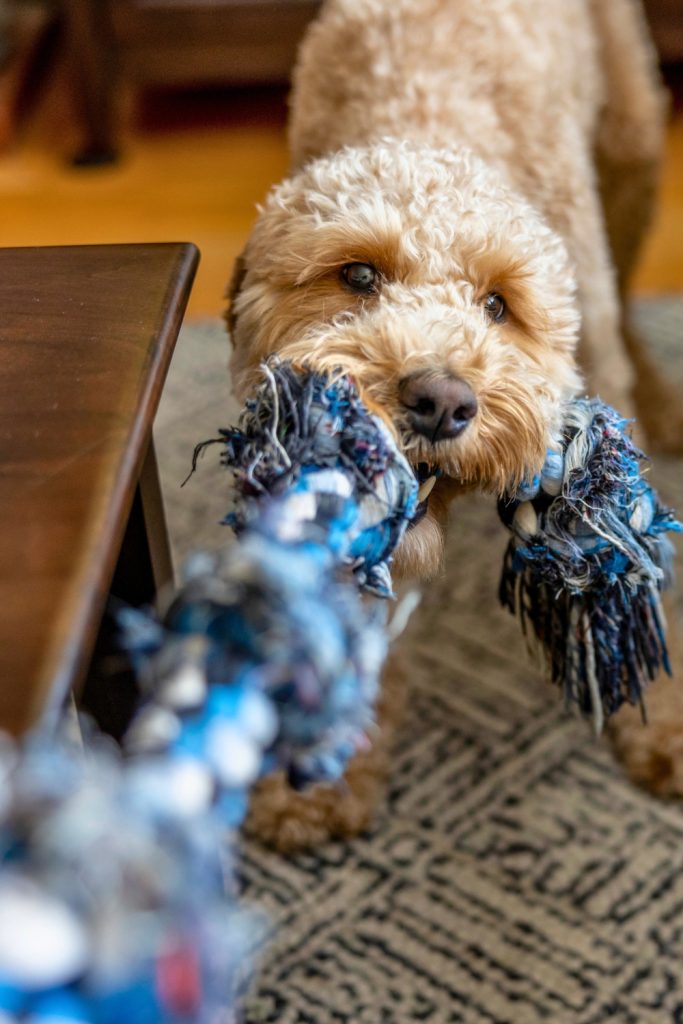 Playing Tug-of-War