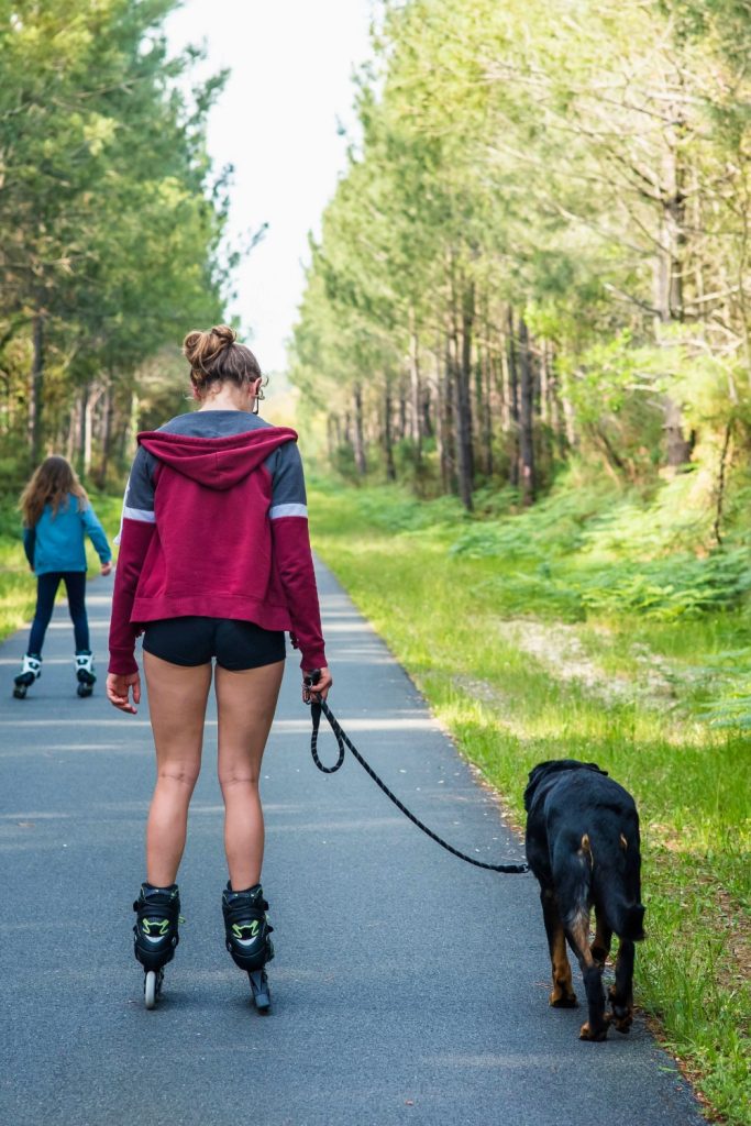 Try These 25 Fun Outdoor Activities with Your Dog